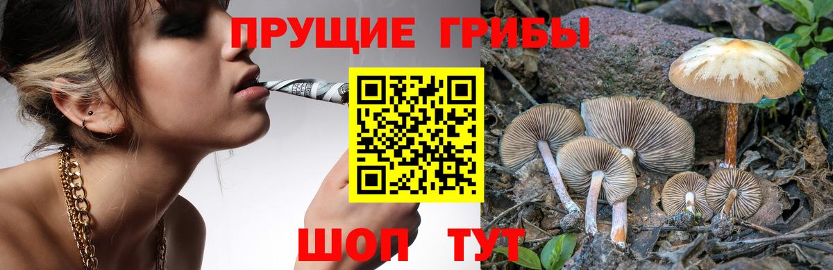 Псилоцибиновые грибы прущие грибы  Псилоцибиновые грибы Cubensis  Вход с VPN  купить   Переславль-Залесский 